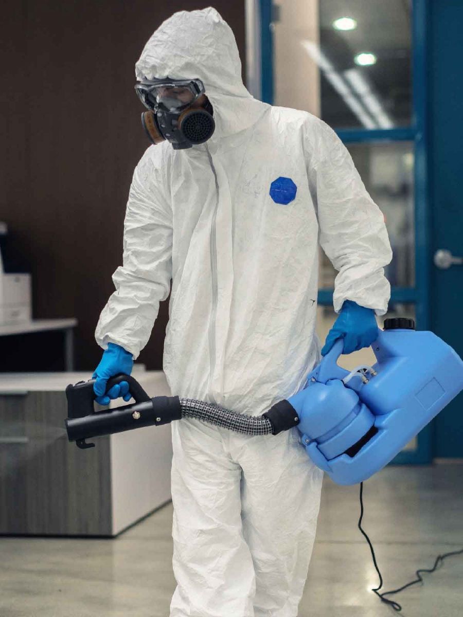 Giresun böcek ilaçlama öncesi alan