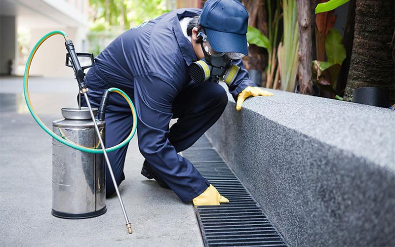 Giresun profesyonel böcek ilaçlama